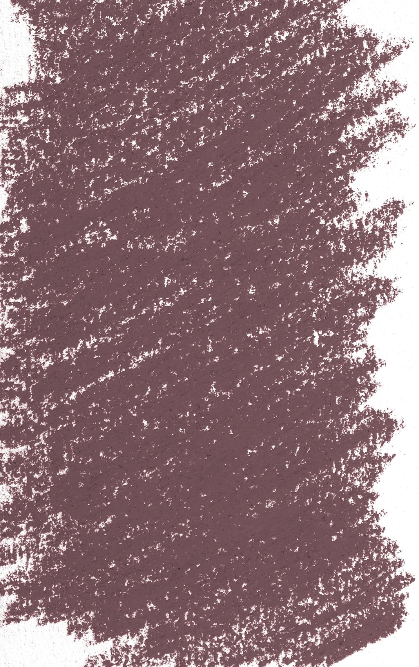 Pastel Tender - Dead Head - tinted 2 352 (Pack x3)
