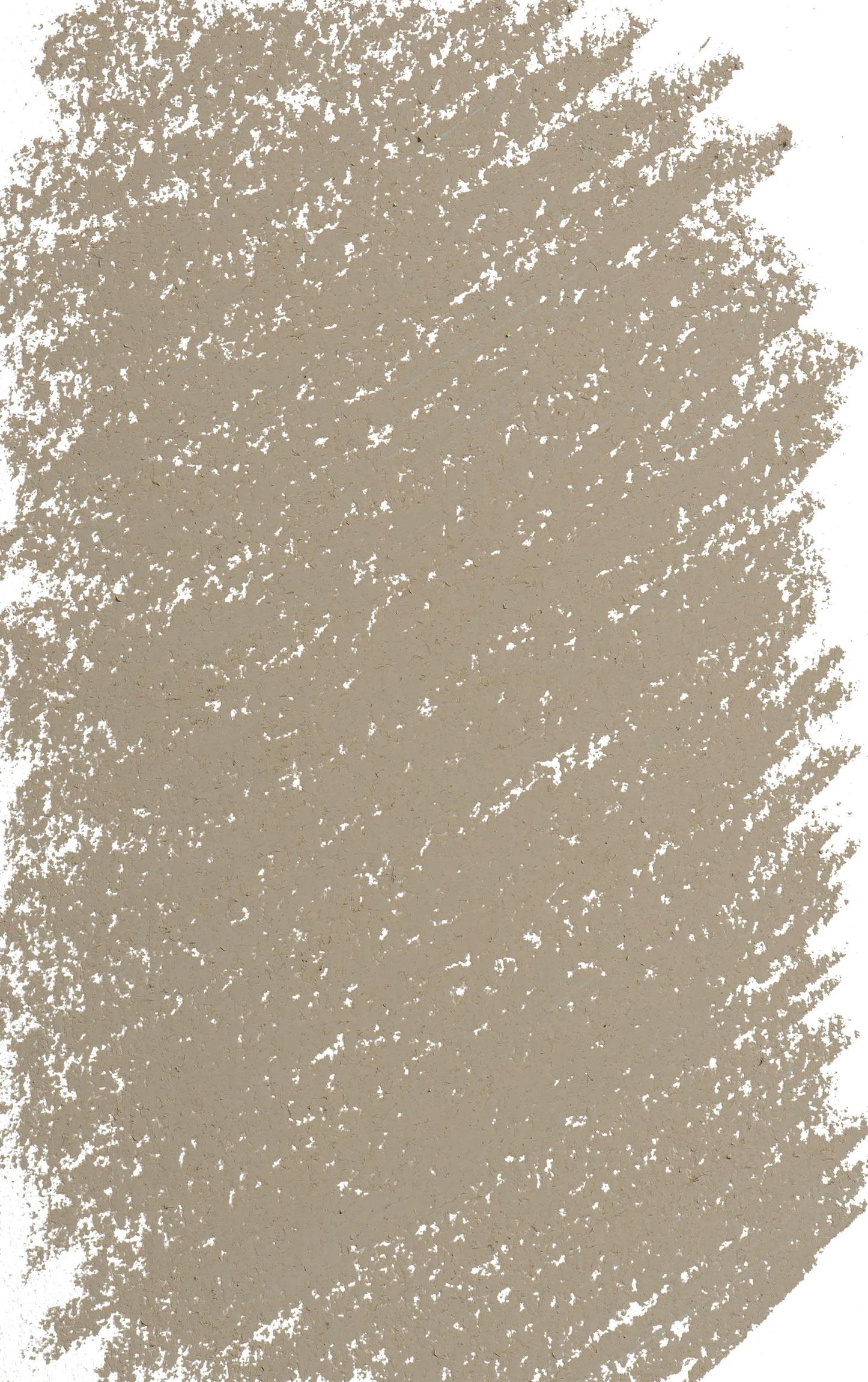 Giant Pastel - Brown Van Dyck - tinted 5 445