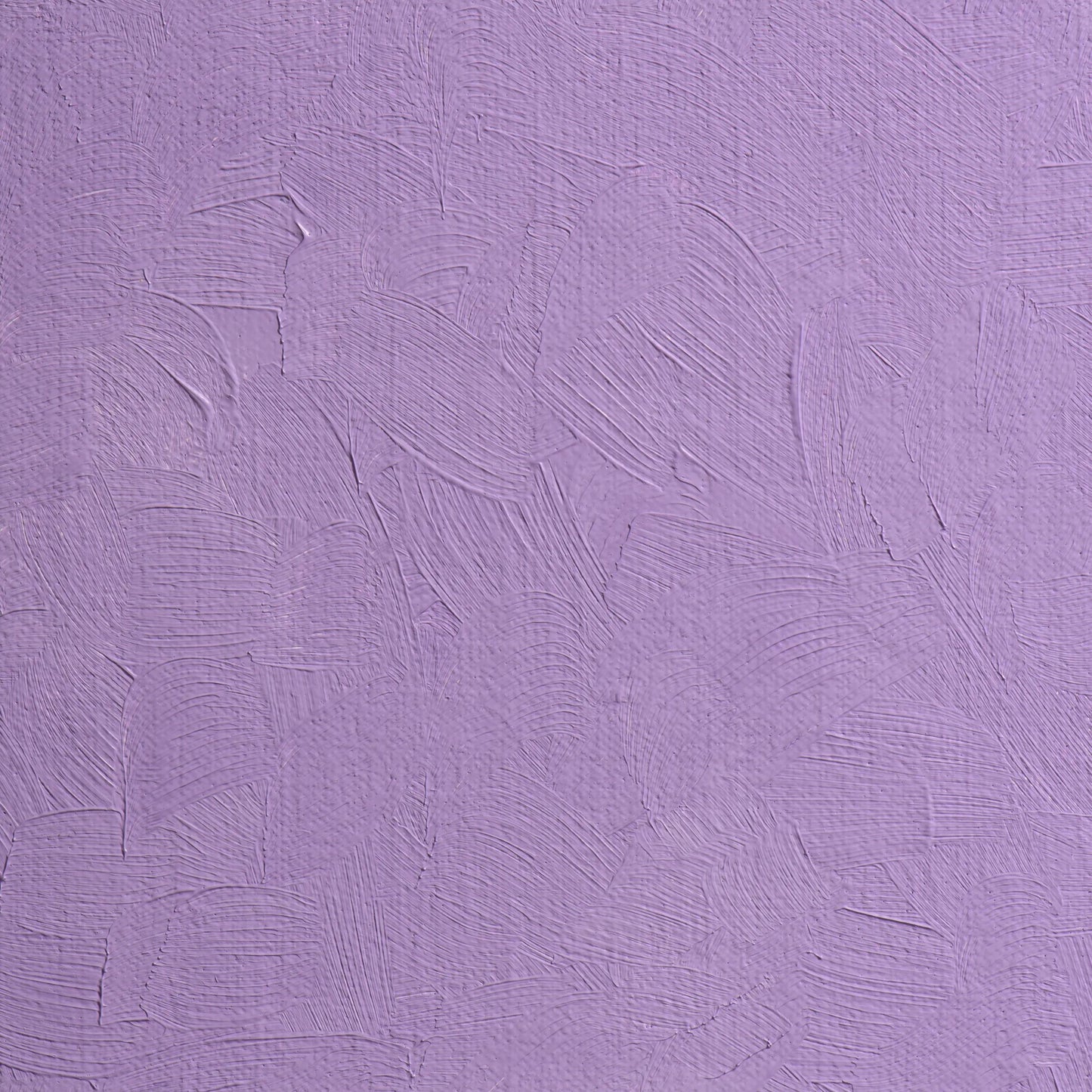 Extra-fine oil paint tube 20ml - Overseas violet 231 (Pack x3)