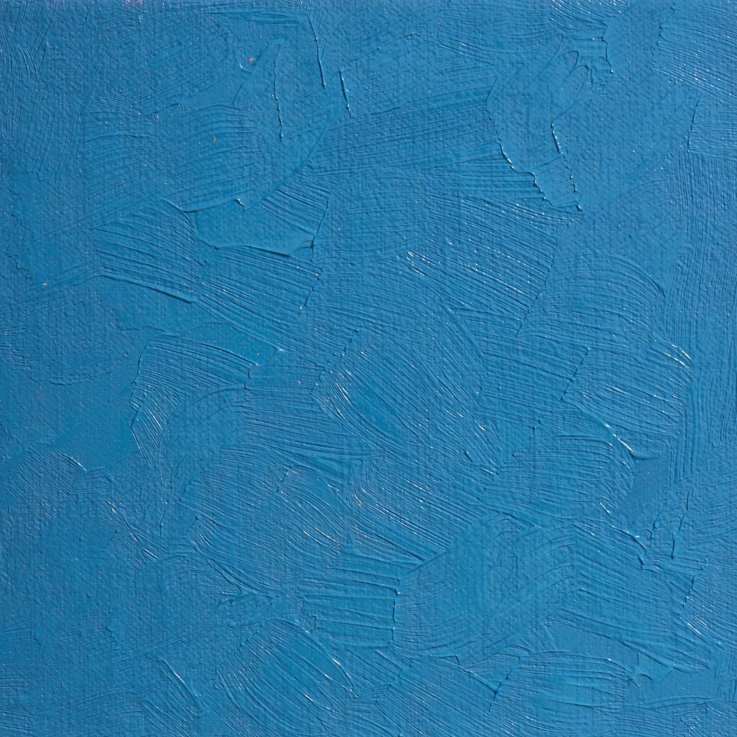 Extra-fine oil paint tube 35ml - Primary Blue 455 (Pack x3)