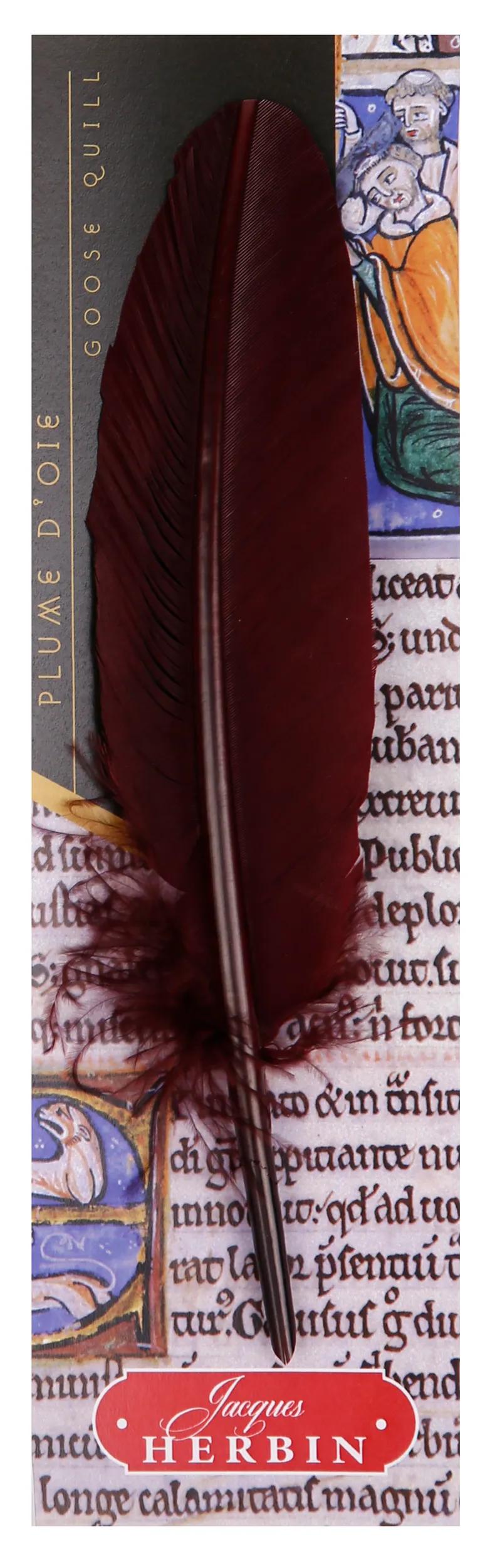Gänsefeder auf Pin geschnitten - Bordeaux (Paket x10)