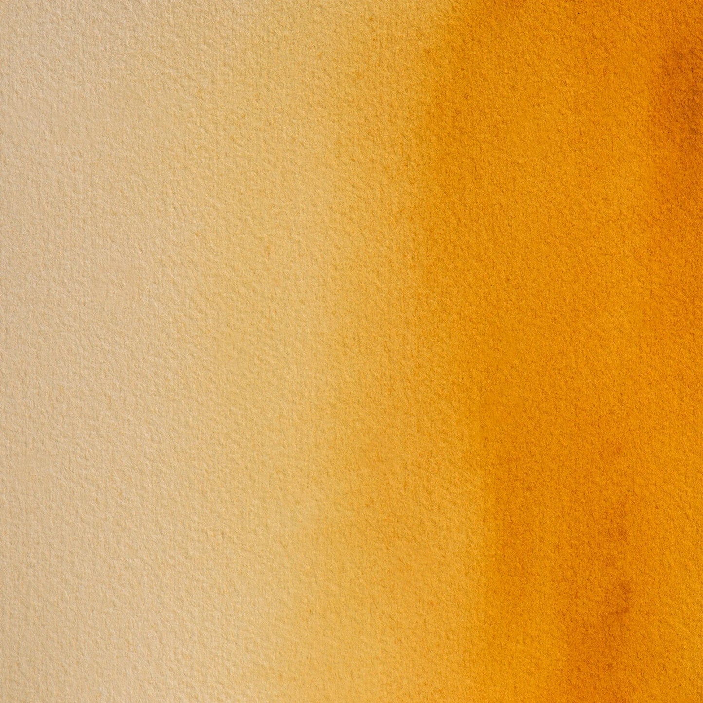 Aquarelle extra-fine half-godet - Ocre gold 113 (Pack x3)