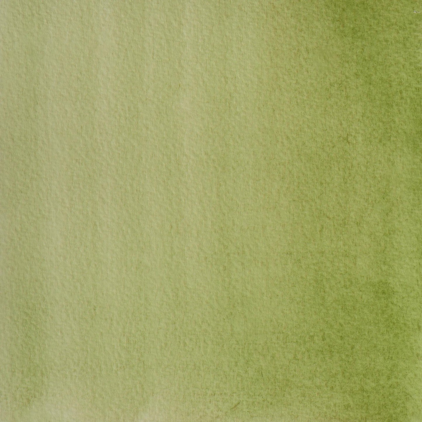 Extra-fine half-godet watercolor - Hooker Green 164 (Pack x3)