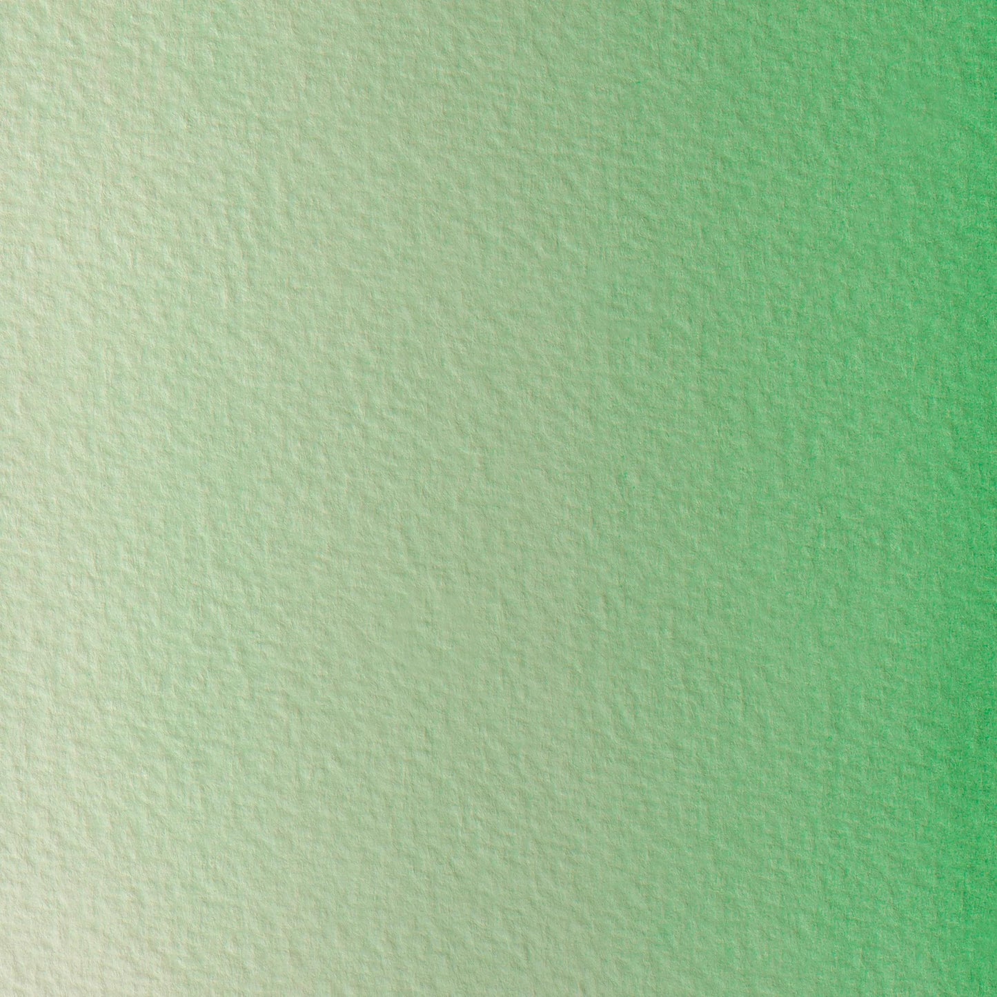 Extra-fine watercolor semi-godet - Green phthalo 165 (Pack x3)