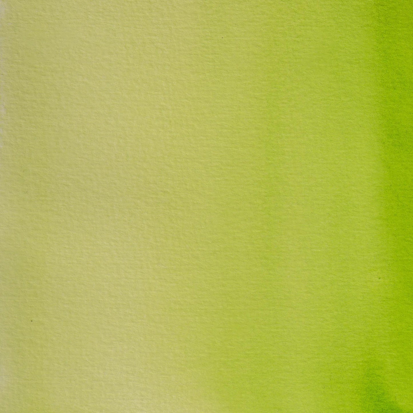 Aquarelle extra-fine half-godet - Green bladder 361 (Pack x3)