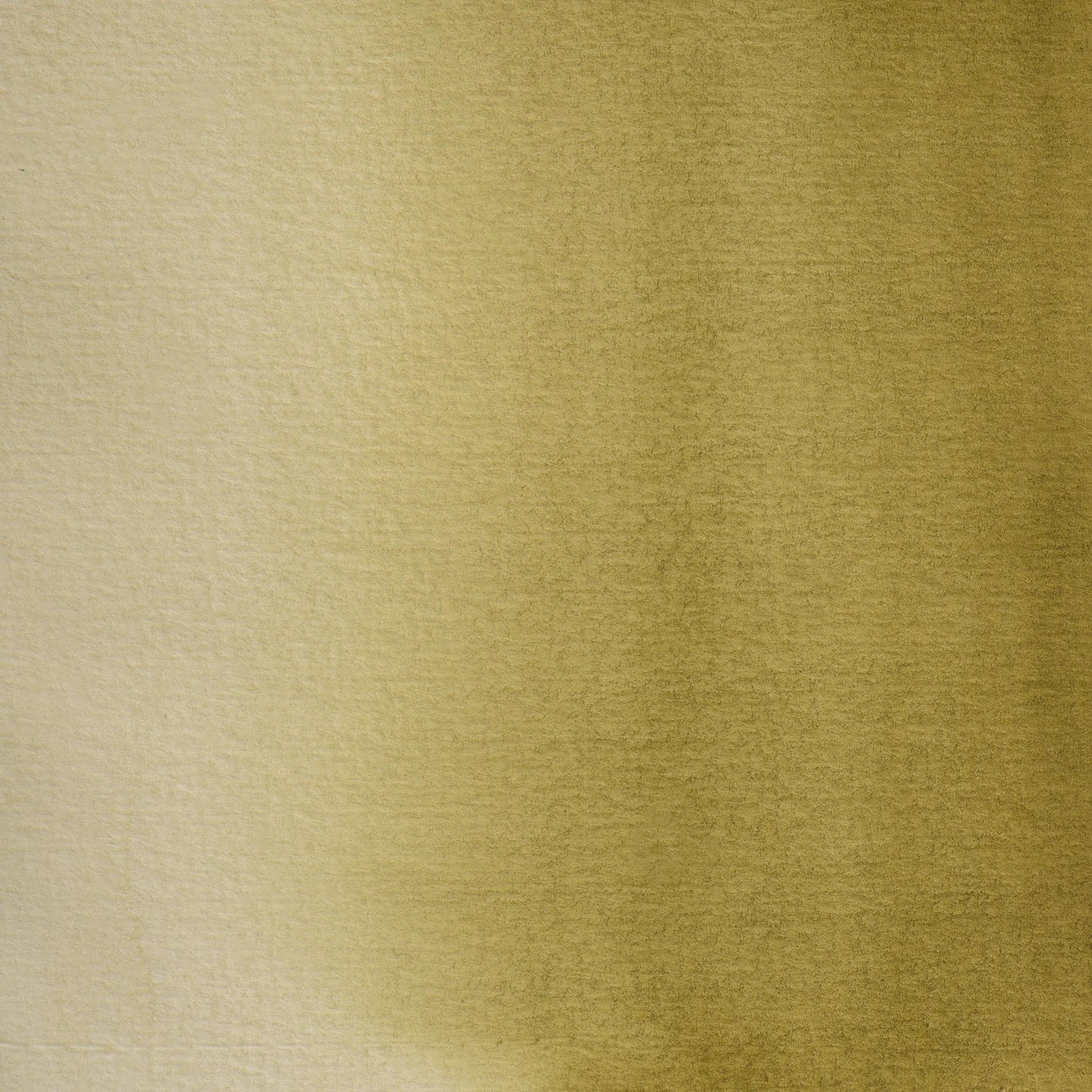 Extra-fine half-godet watercolor - Olive green 365 (Pack x3)