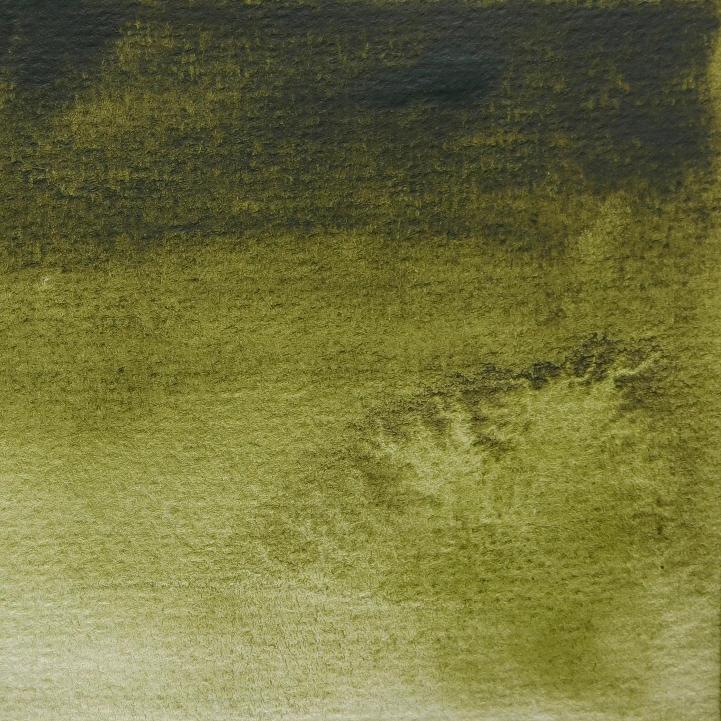 Extra-fine watercolor tube 5ml - Olive green 365 (Pack x3)