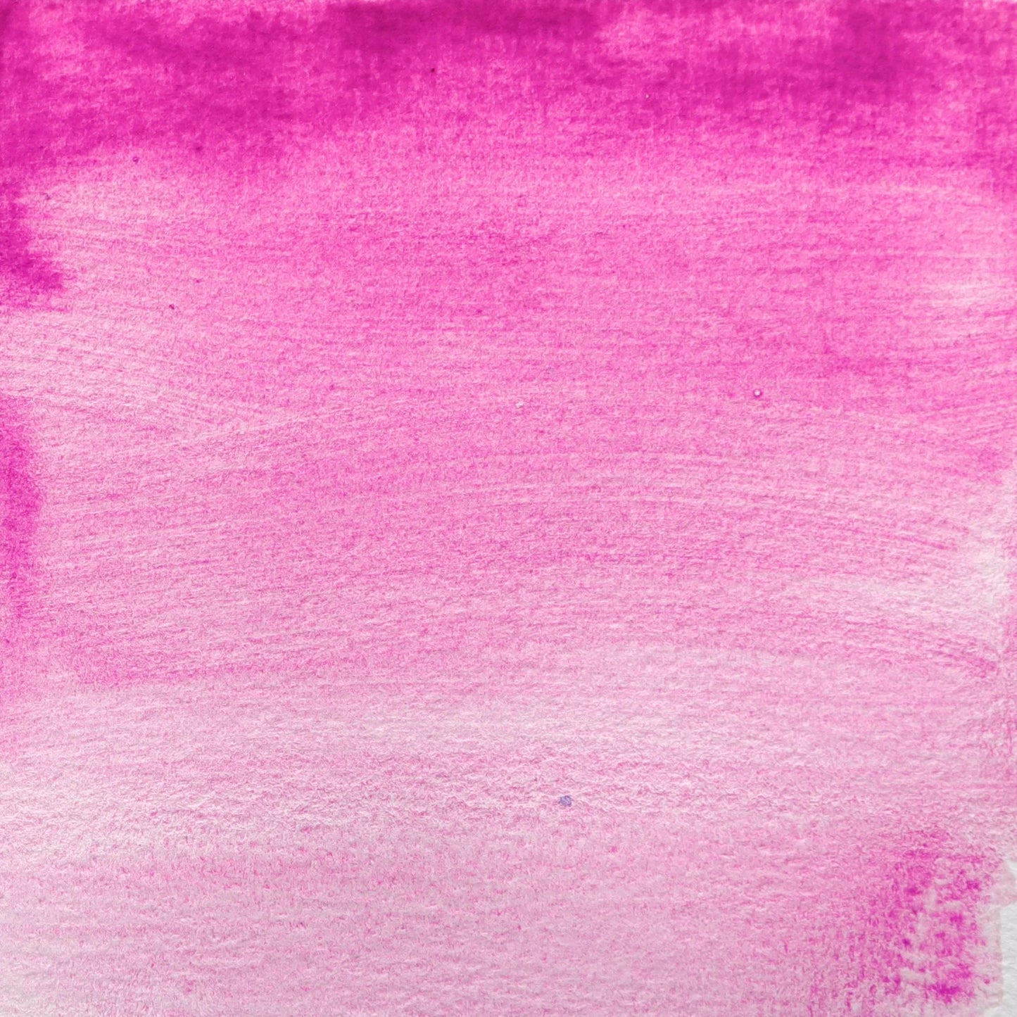 Extra-fine watercolor tube 5ml - Cobalt violet 431 (Pack x3)
