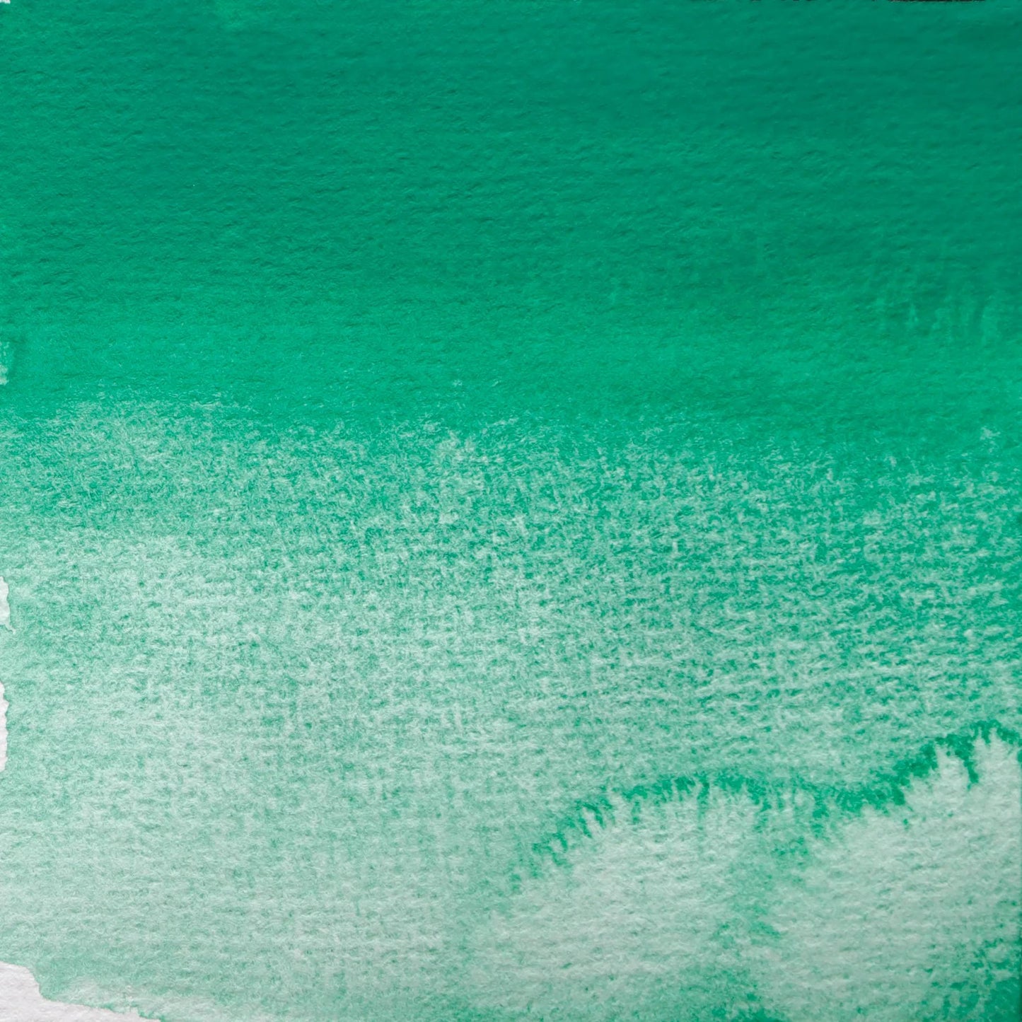 Extra-fine watercolor tube 5ml - Cobalt green 461 (Pack x3)