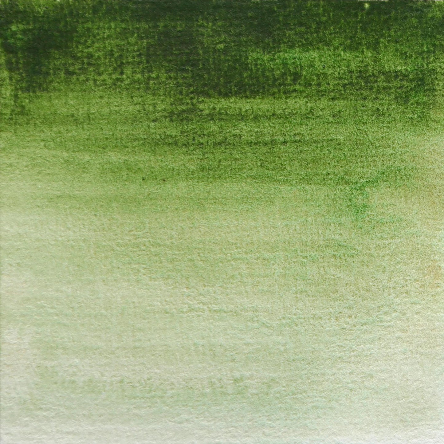 Extra-fine watercolor tube 15ml - Hooker Green 164 (Pack x3)