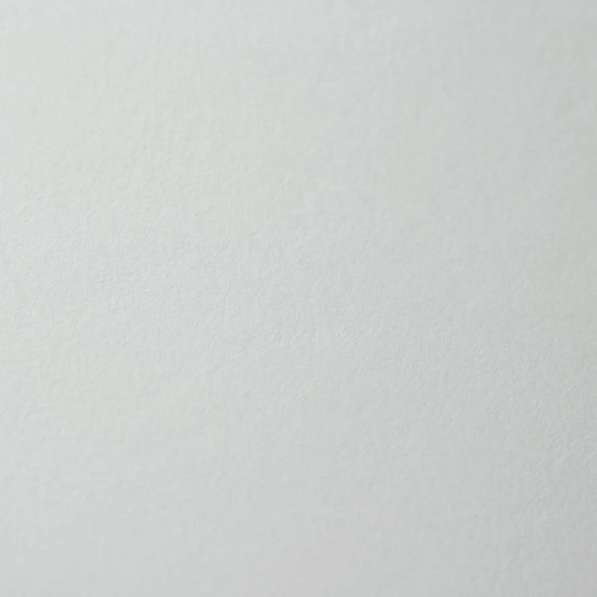 Epsilon Series carnet spiralé 50F 22,9x30,5cm 150g - Blanc (lot de 2)