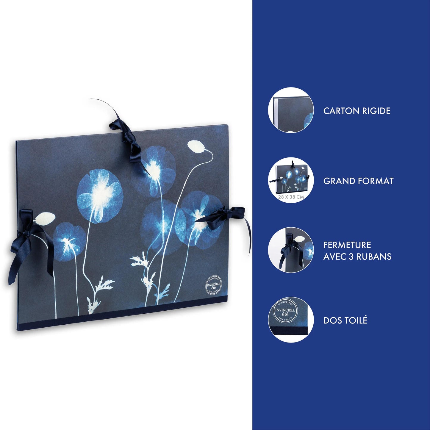 Cyanotype, Drawing cardboard 28x38cm, closure with 3 ribbons (Pack x5)