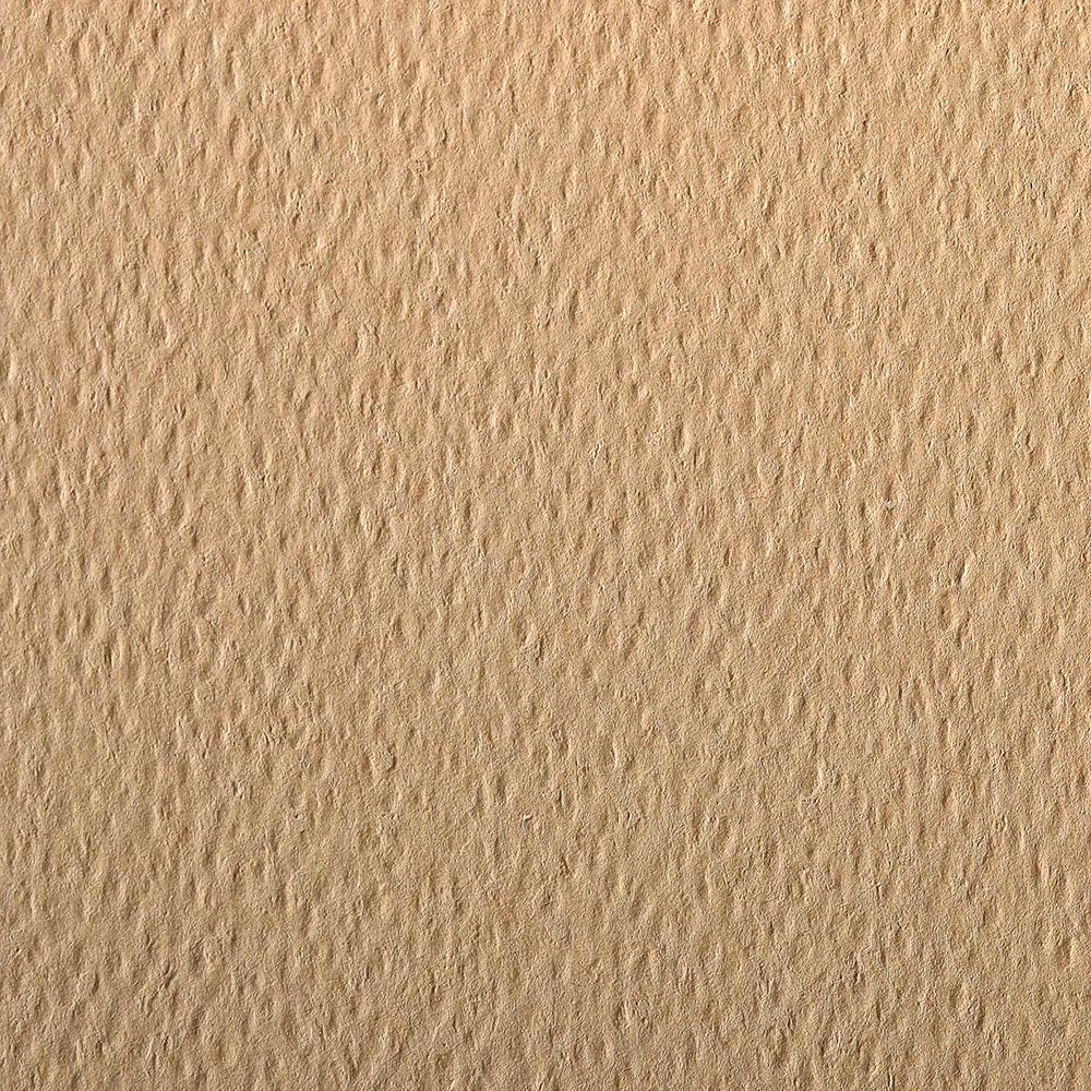 Etival Color paquet 25F A3 160g - Camel (Lot x2)