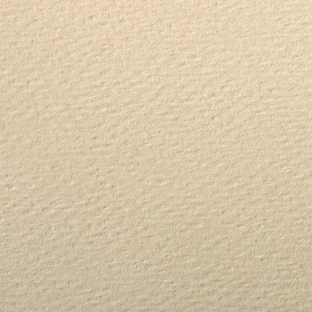 Eival Color package 25F A3 160g - Ivory (Pack x2)