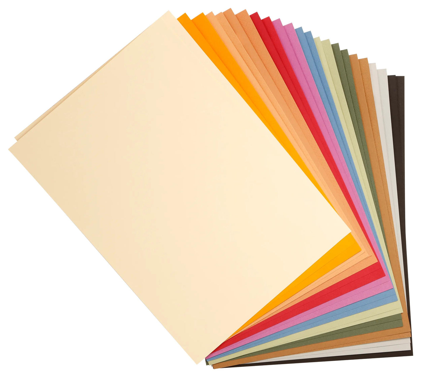 Tulipe rame 24F A4 160g - Assortiment pastel