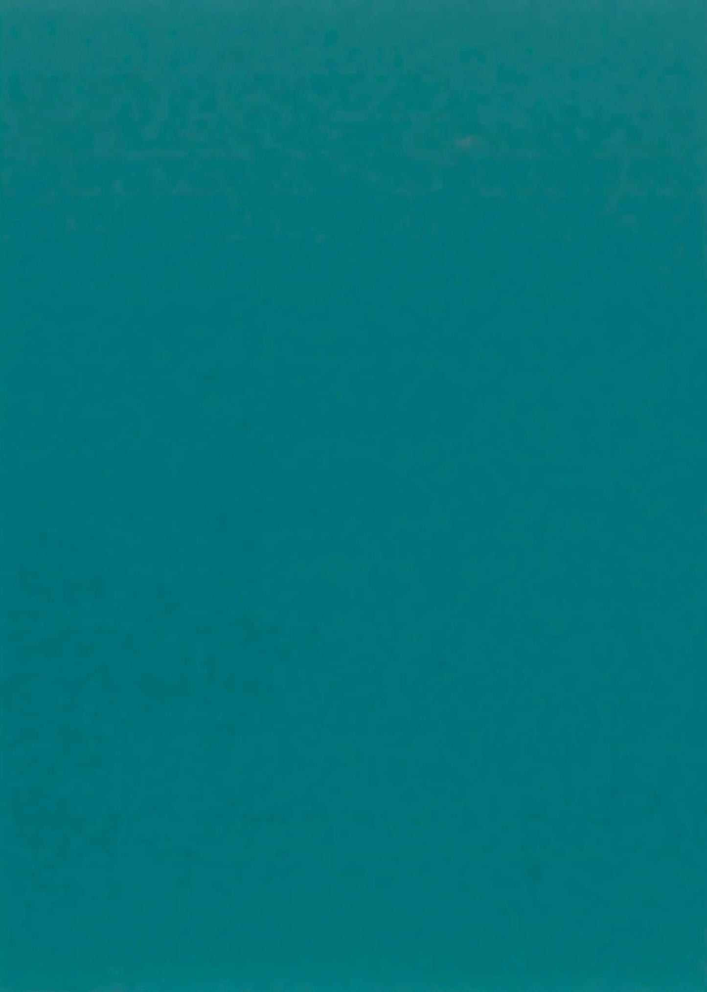 Maya package 25F A3 185g - Blue duck