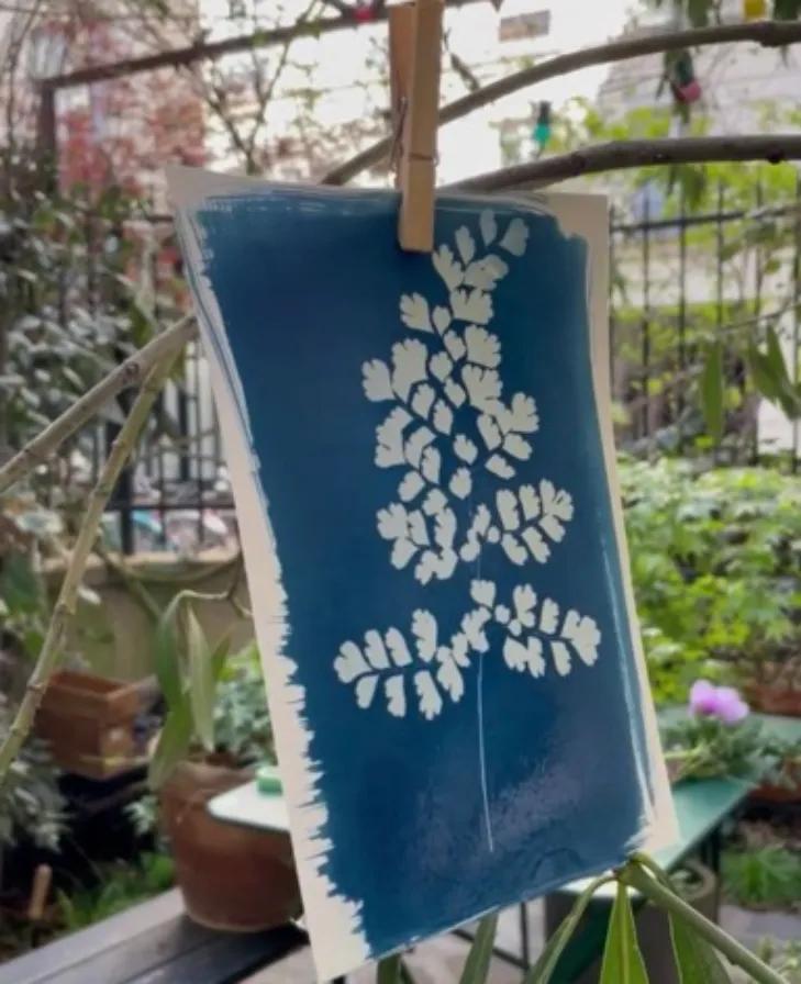 DISCOVER KIT - Cyanotype 15.3x8.6x21.4cm (Pack x3)
