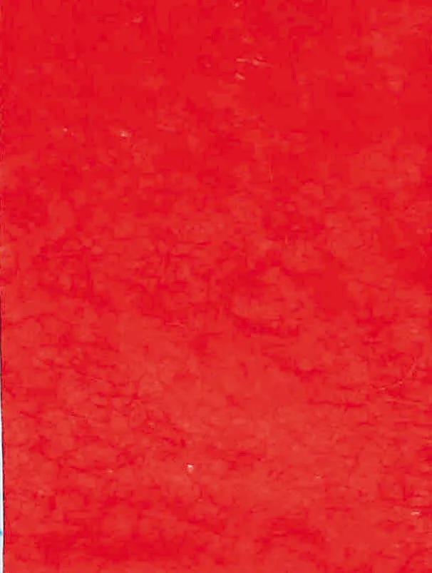 STEEL PAPER, Case of 10 sheets 25g/m2 in 65x95cm format - Red