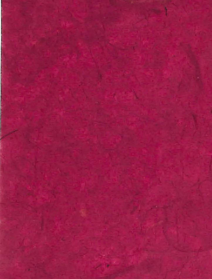 BANANA PAPER, 10 Blatt Gehäuse im 65x95cm Format - Opera