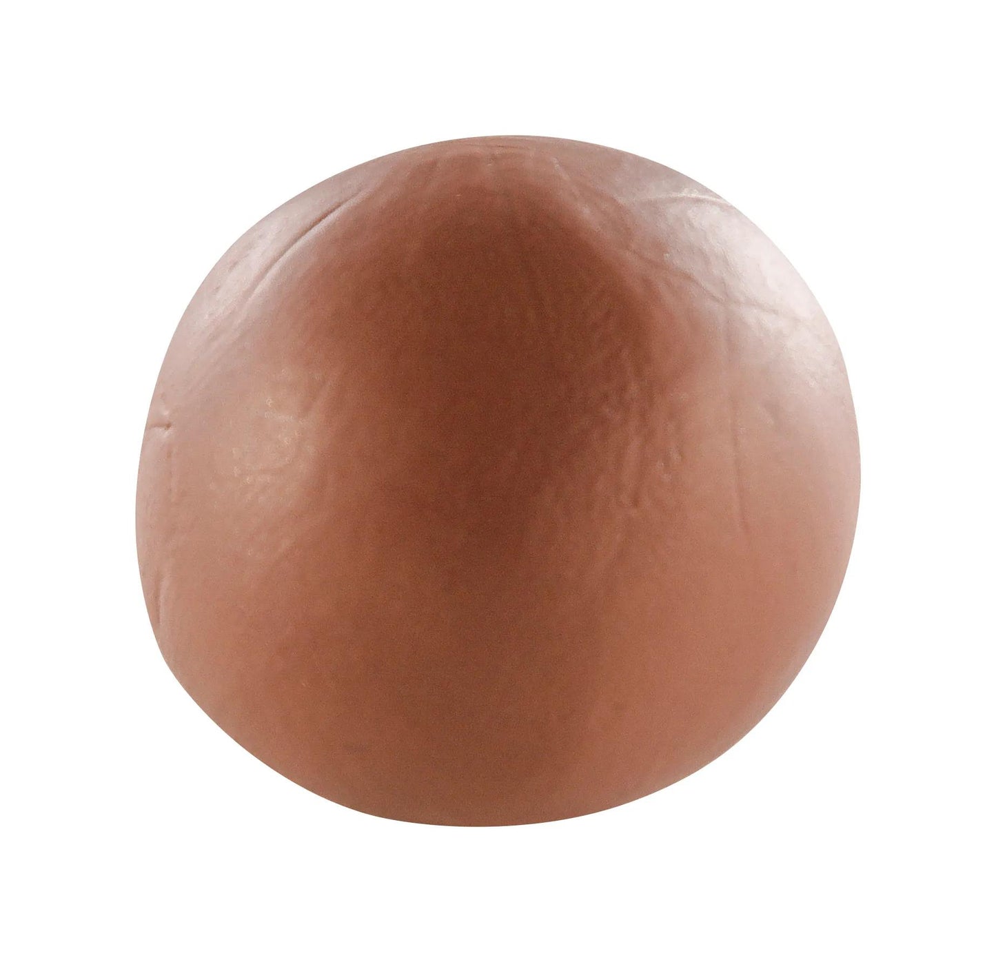 Cernit n°1 56 g Taupe - Taupe 812 (Pack x6)