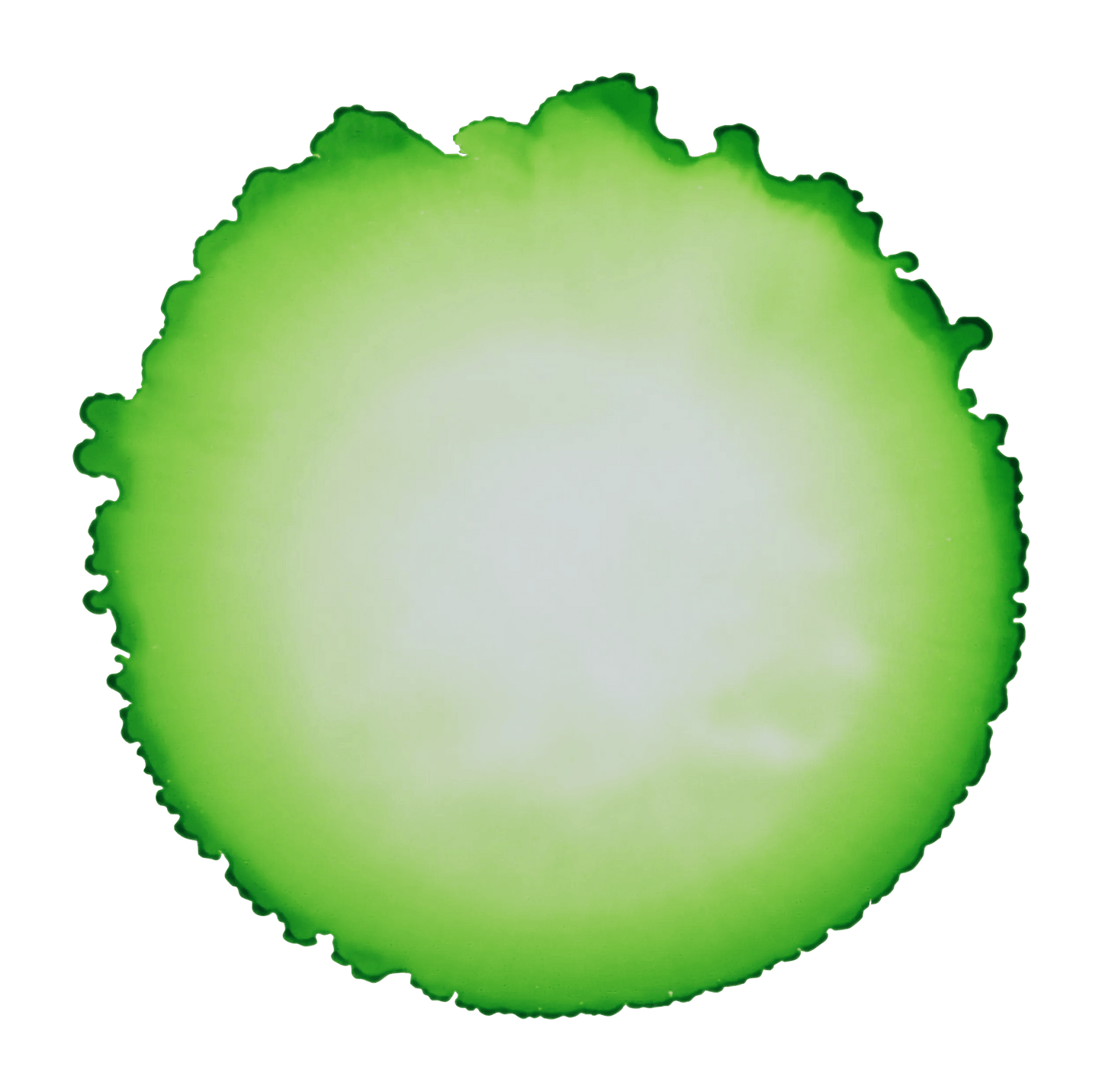 Cernit ink with alcohol 20 ml Green meadow - Green meadow 617 (Pack x6)