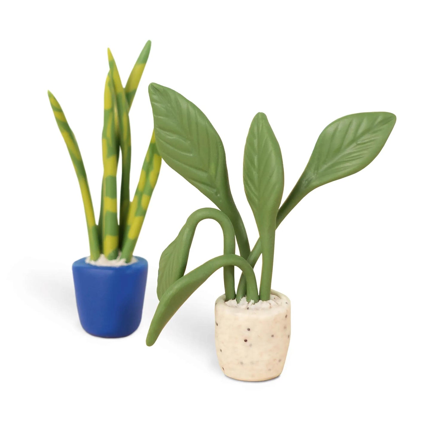 Starter kit, mini plants