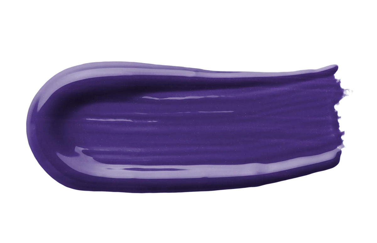 DARWI 50 ml Paint Bottle on Leather - Purple 900 (Pack x4)