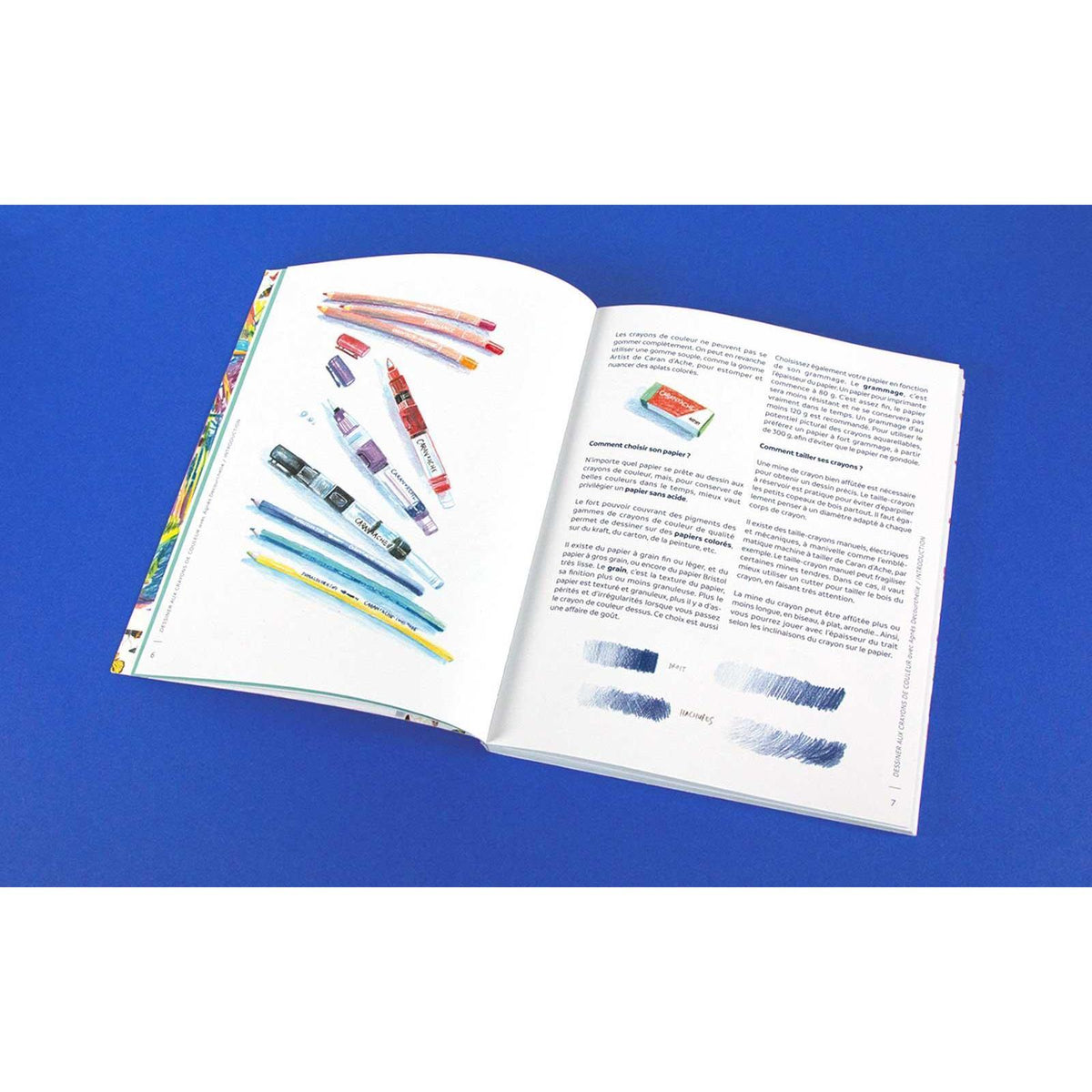 Livre « Dessiner aux crayons de couleurs avec Agnès Decourchelle » Version Française