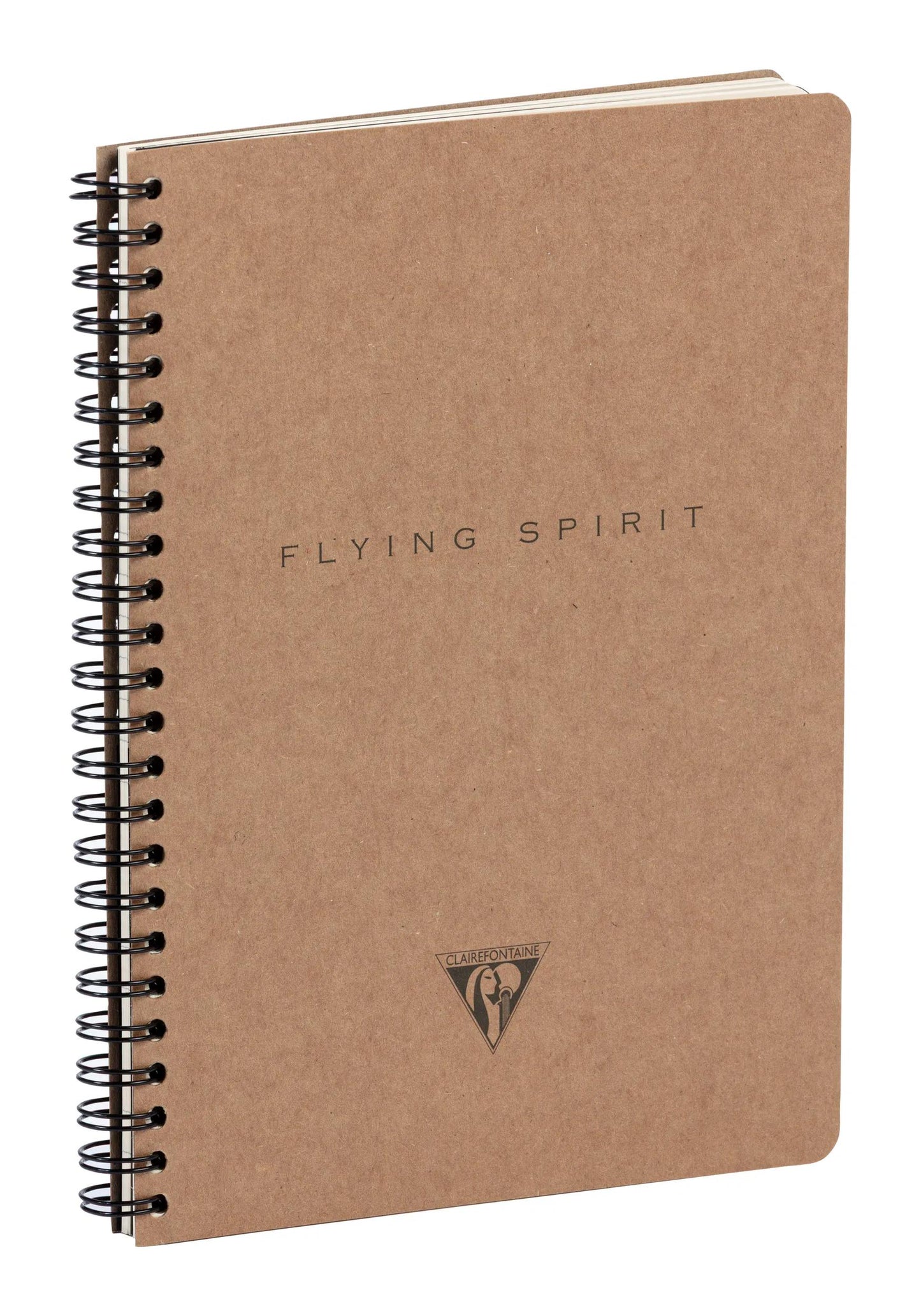 Carnet reliure intégrale à pochettes Flying Spirit Kraft A5 120 pages détachables ligné motifs assortis papier ivoire 90g - Brun (Lot x5)