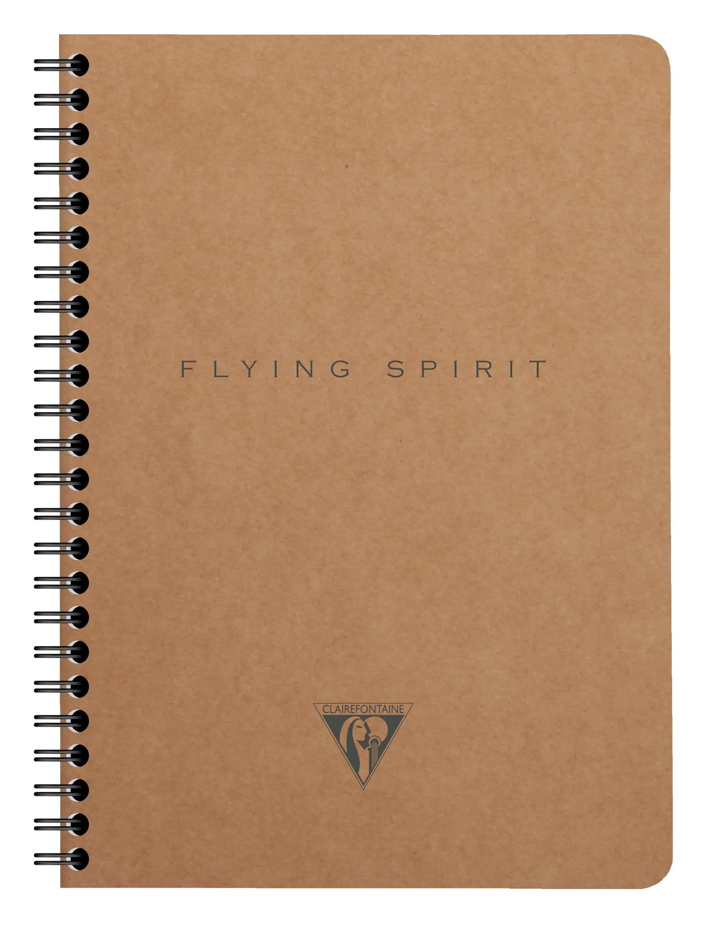 Carnet reliure intégrale à pochettes Flying Spirit Kraft A5 120 pages détachables ligné motifs assortis papier ivoire 90g - Brun (Lot x5)