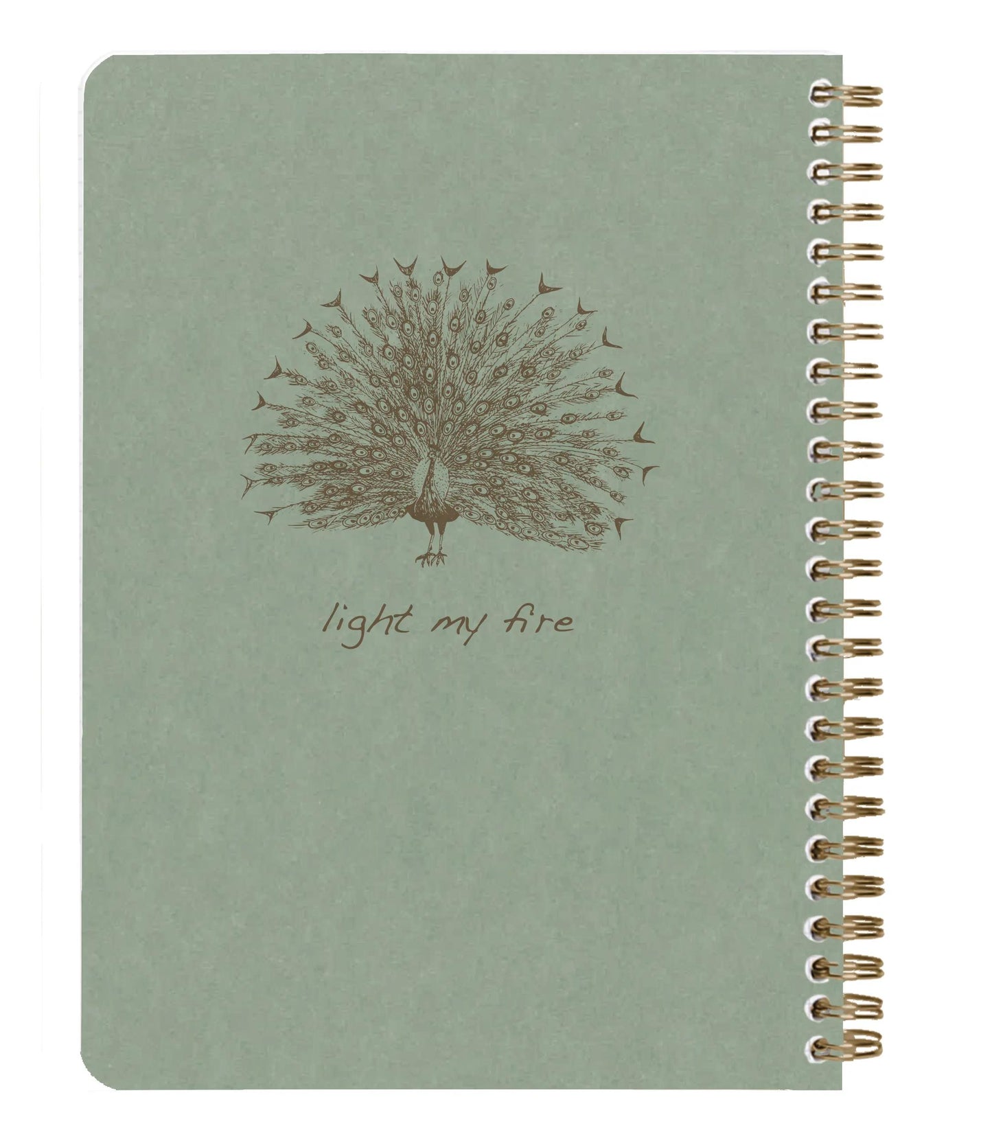 Flying Spirit Grün kompletter Taschenheft 14,8x21cm 120p abnehmbar. gefütterte Motive passend für Elfenbeinpapier 90g - Grün von grau (Paket x5)