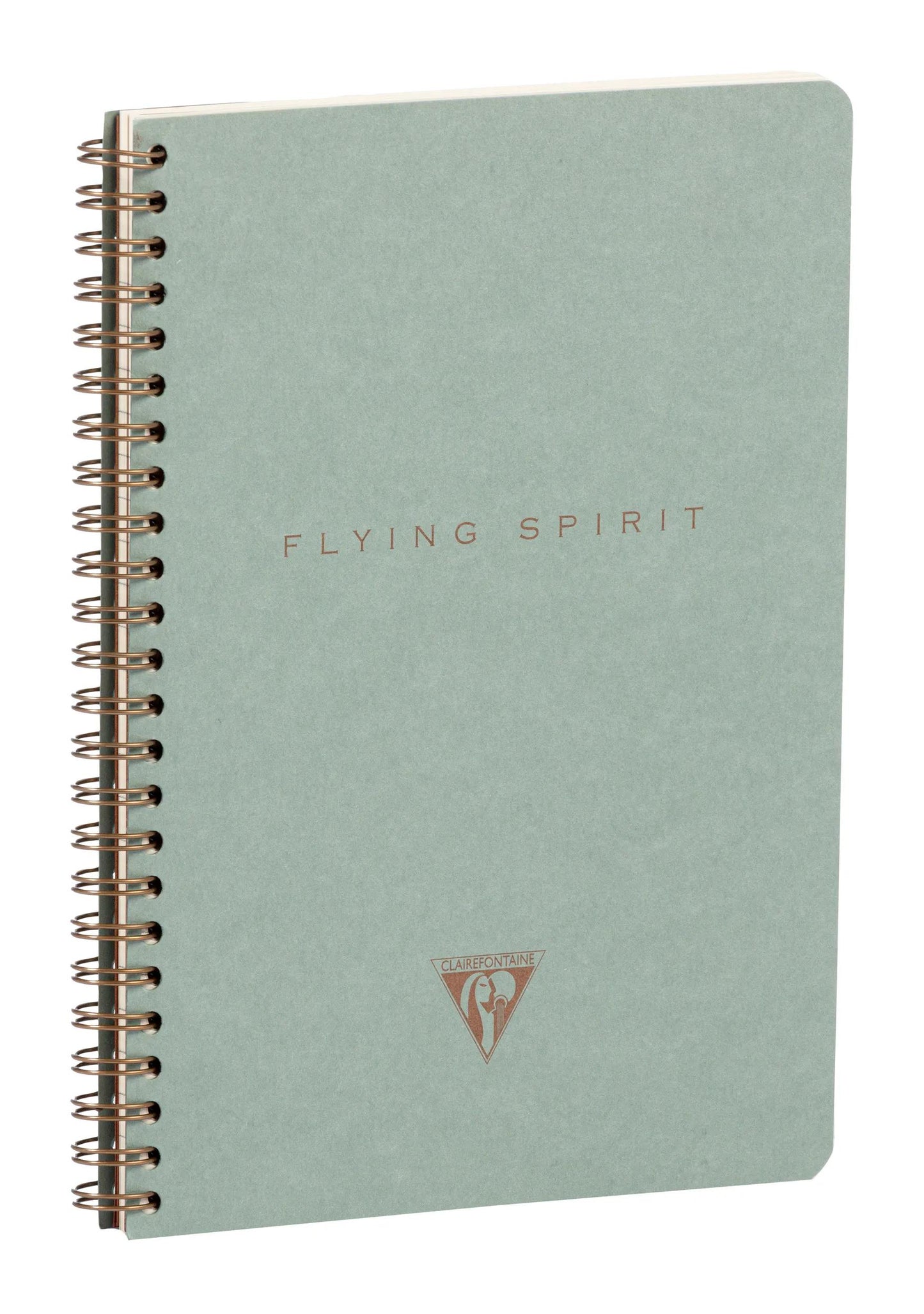 Flying Spirit Grün kompletter Taschenheft 14,8x21cm 120p abnehmbar. gefütterte Motive passend für Elfenbeinpapier 90g - Grün von grau (Paket x5)