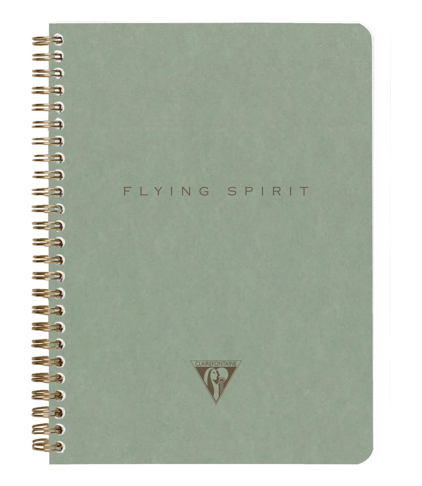 Flying Spirit Grün kompletter Taschenheft 14,8x21cm 120p abnehmbar. gefütterte Motive passend für Elfenbeinpapier 90g - Grün von grau (Paket x5)