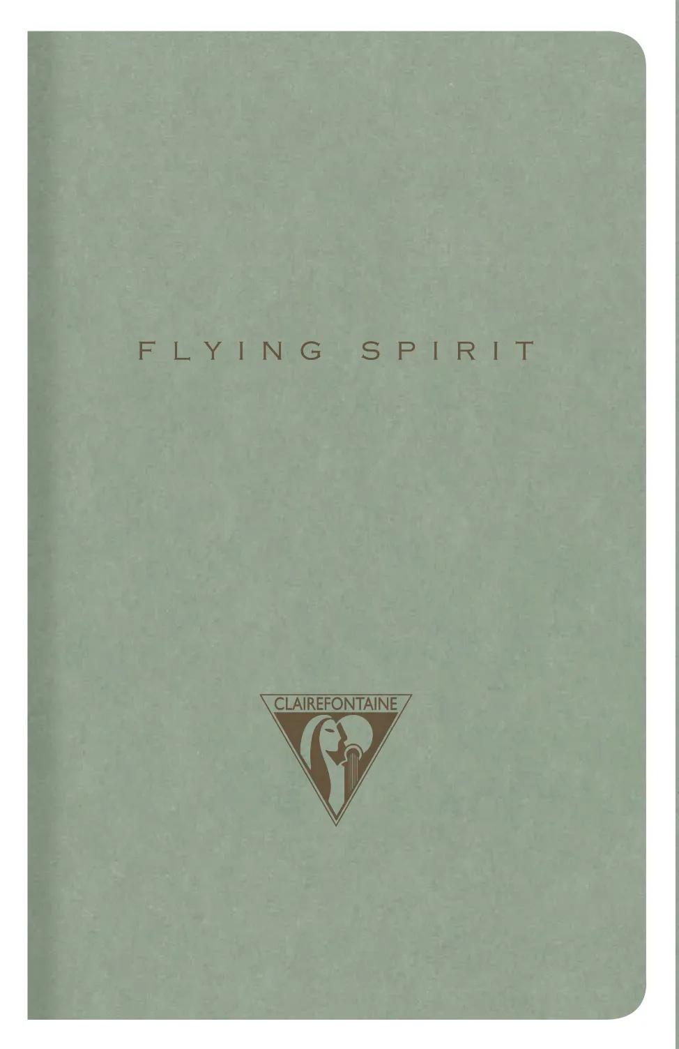 Flying Spirit tessile pungiglione 7,5x12cm 48 pagine foderate corrispondenti modelli carta avorio 90g - Verde di grigio (Pacchetto x10)