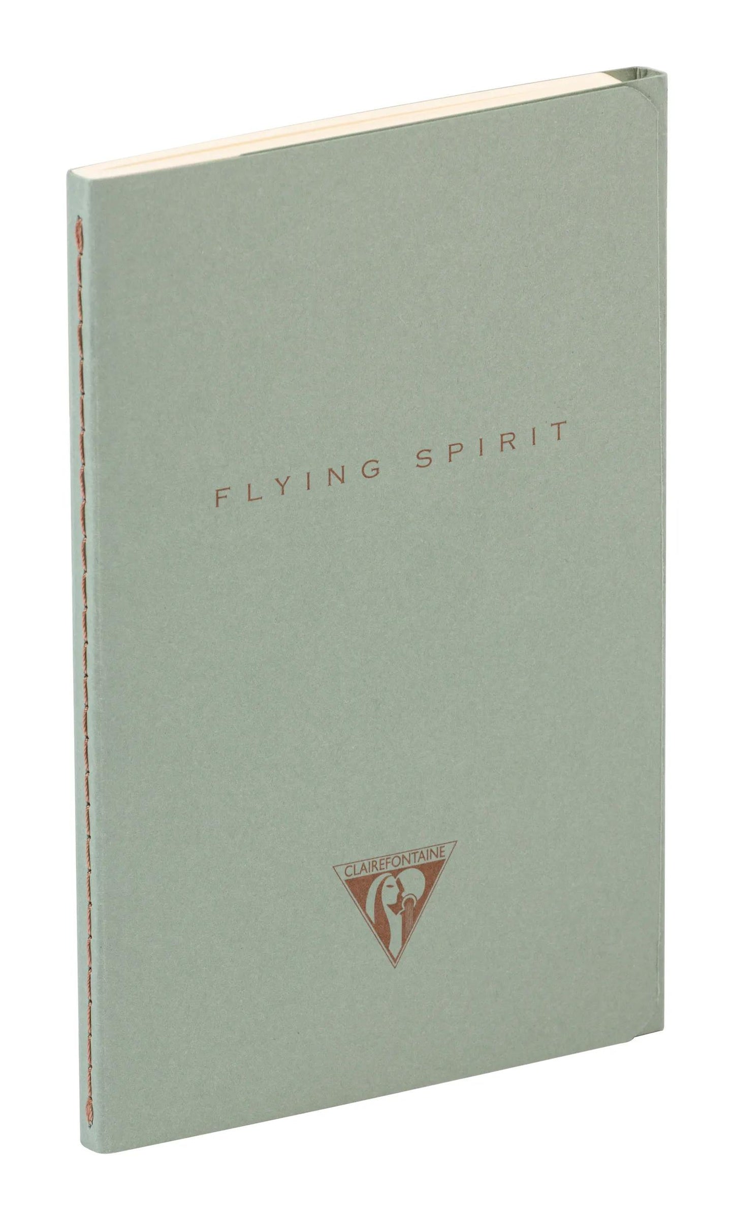 Volare Spirito tessile punzonatura 9x14cm 96 pagine foderate corrispondenti modelli carta avorio 90g - Verde di grigio (Pacchetto x5)
