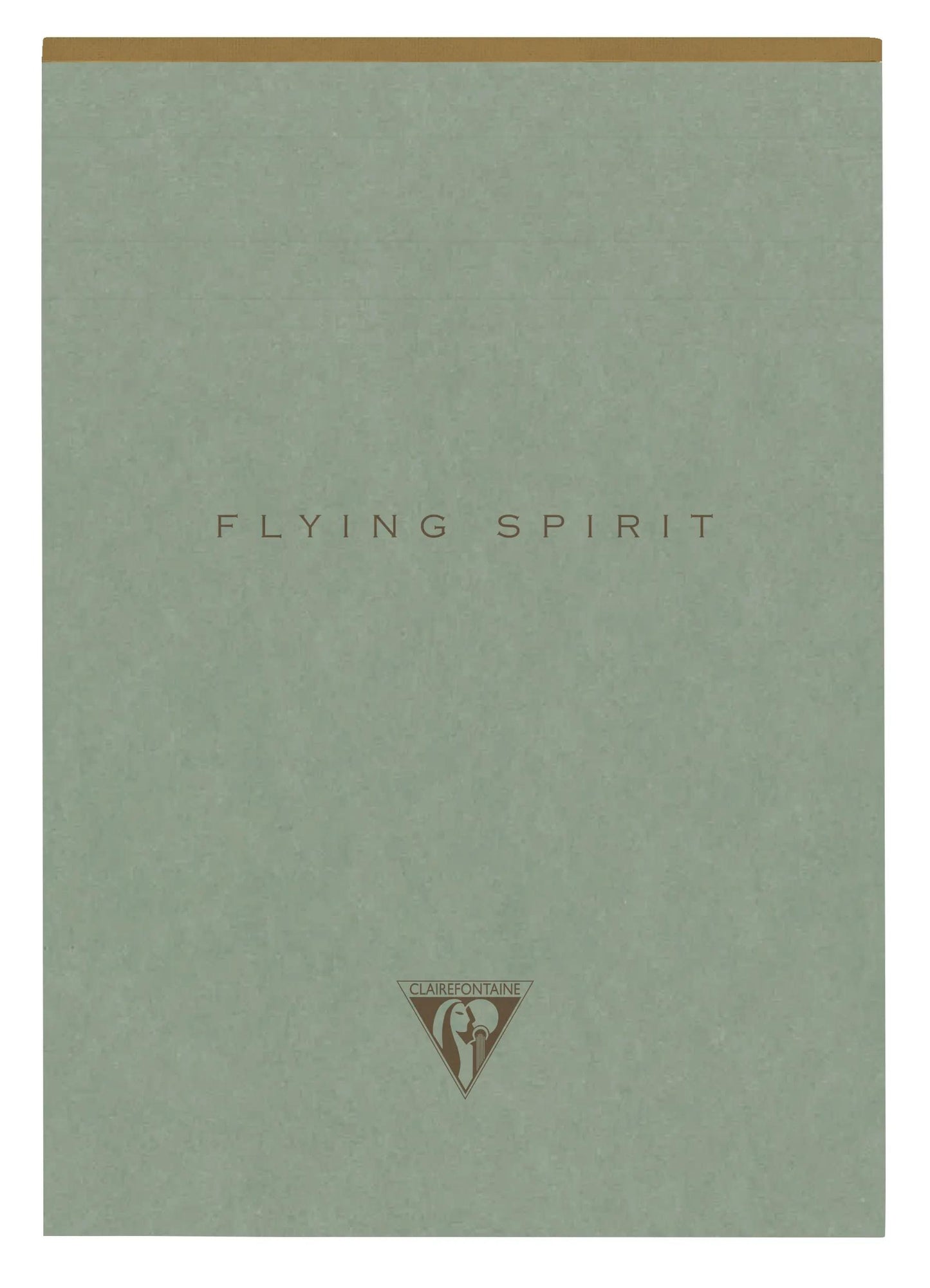 Flying Spirit Green star block head 14,8x21cm 140p detach. Lined matching patterns ivory paper 90g - Green of grey (Pack x5)