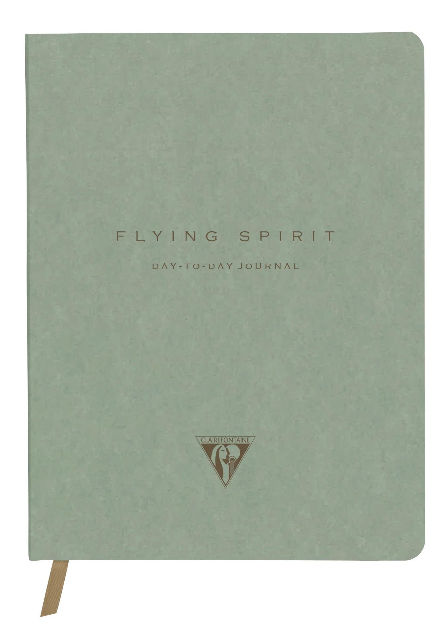 Flying Spirit, Green, DaytoDay newspaper 19x25 cm, 192 pages, dowry, bellow pouch on the back, marker, elastic closure, ass. - Green grey (Pack x5)