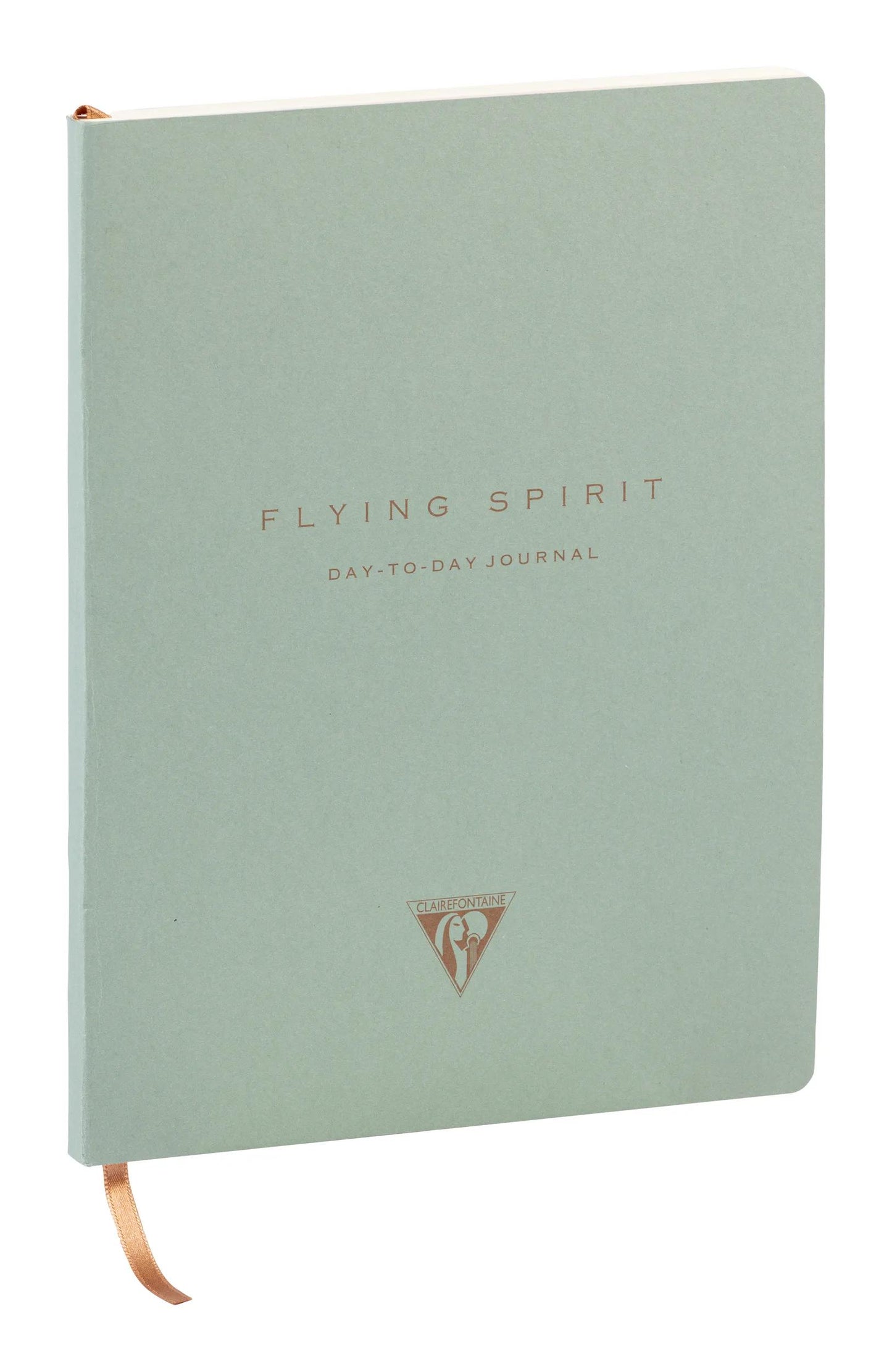 Flying Spirit, Green, DaytoDay newspaper 19x25 cm, 192 pages, dowry, bellow pouch on the back, marker, elastic closure, ass. - Green grey (Pack x5)