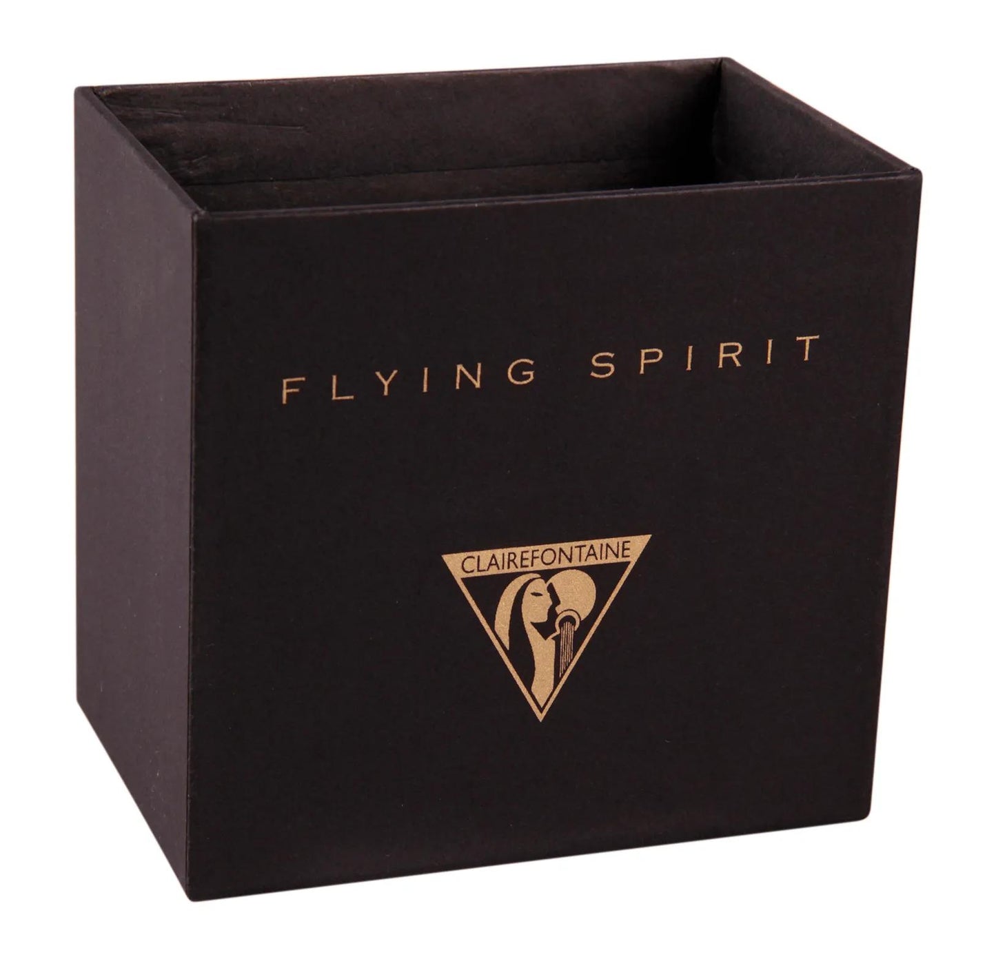 FLYING SPIRIT, Nomadic storage box 22x14x19 cm - Black (Pack x2)