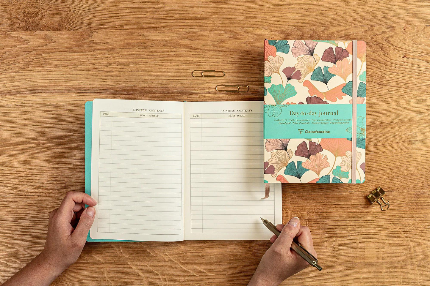 Gaia beige, DaytoDay quotidiano A5 14,8x21 cm, 192 pagine, dote, soffietto sul retro, marcatore, chiusura elastica, culo. (Pacchetto x4)