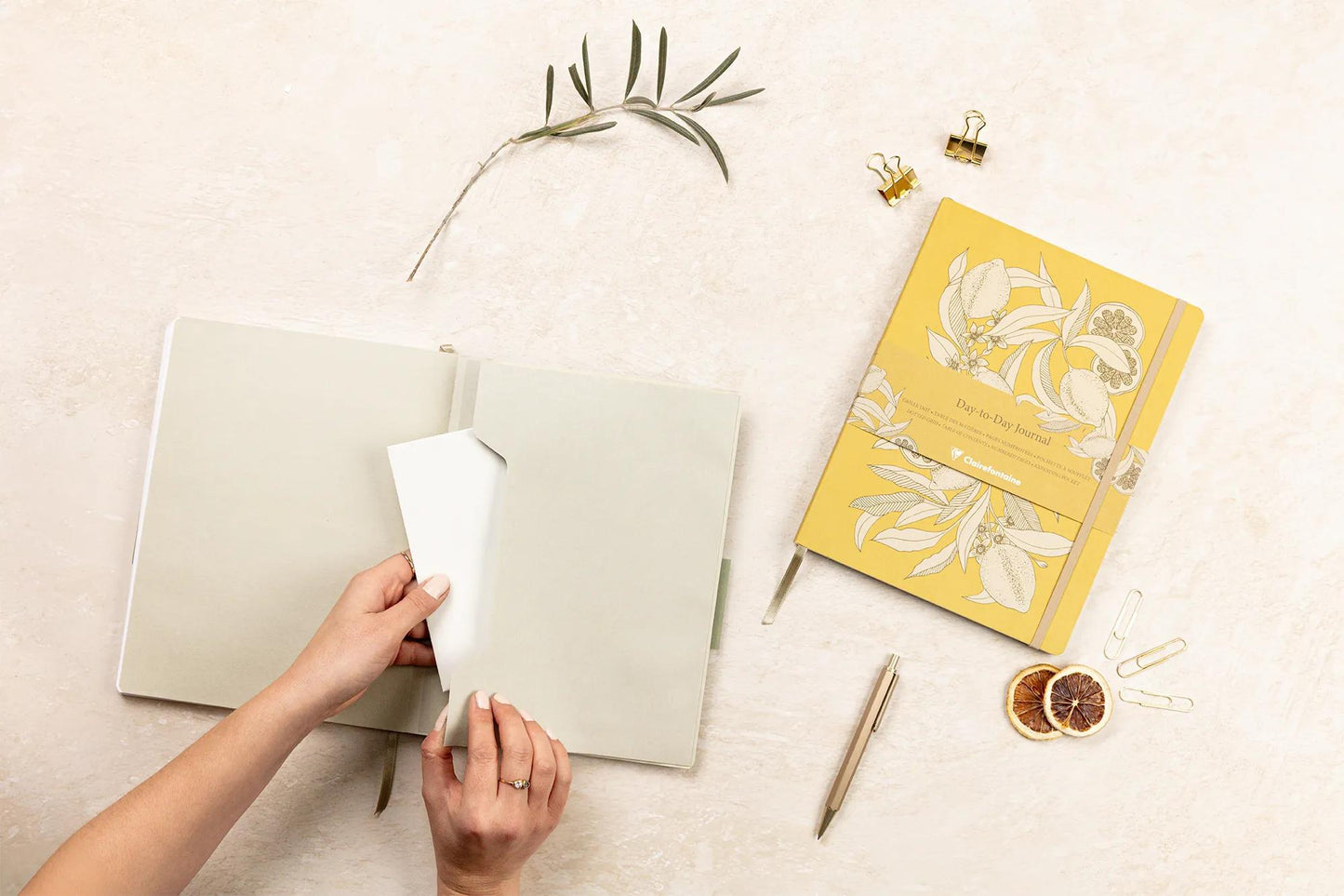 Jardin des Sens, DaytoDay journal 19x25 cm, 192 pages, dowry, bellow pouch on the back, marker, elastic closure, ass. - New (Pack x4)