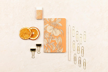 Garten der Sens, Kit von Schreibwaren mit einem Notebook 11x17 cm 64 Seiten Linien, ein Bleistift aus Papier, 2 Doppelclips, 10 Posaunen und ein Gummi - Neu (3er-Pack)