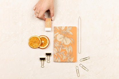 Garten der Sens, Kit von Schreibwaren mit einem Notebook 11x17 cm 64 Seiten Linien, ein Bleistift aus Papier, 2 Doppelclips, 10 Posaunen und ein Gummi - Neu (3er-Pack)
