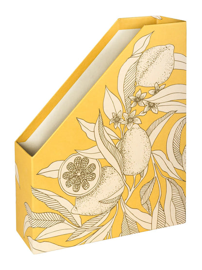 Garten der Sens, Magazintür 25x10x32,5cm - Neu (4er-Pack)