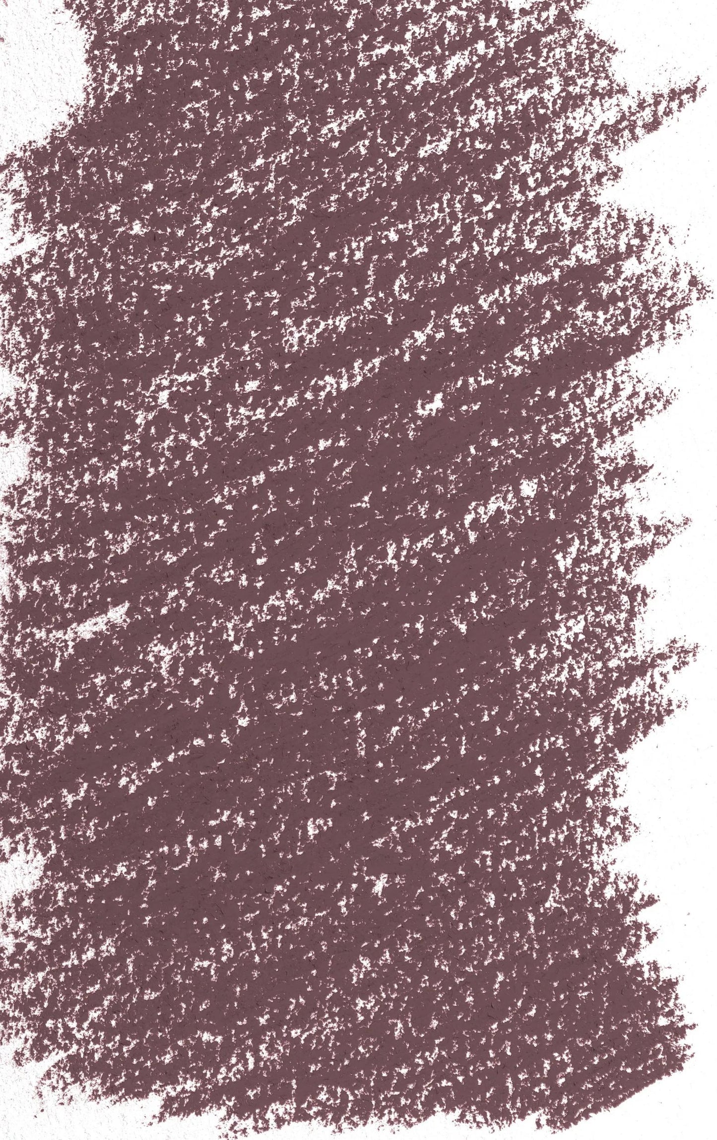 Pastel Tender - Dead Head - tinted 1 351 (Pack x3)