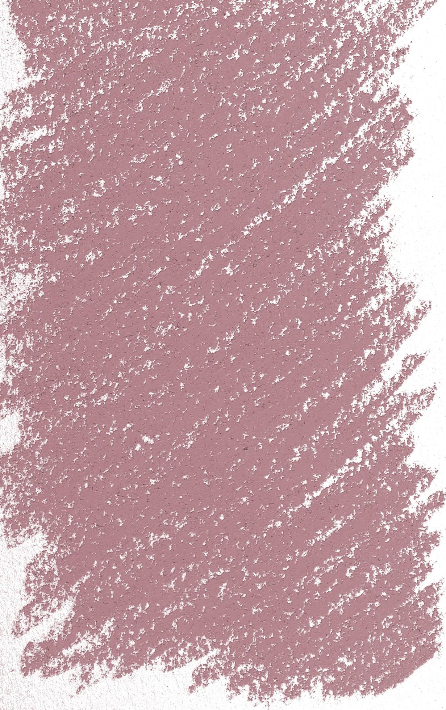 Pastel Tender - Dead Head - tinted 4 354 (Pack x3)