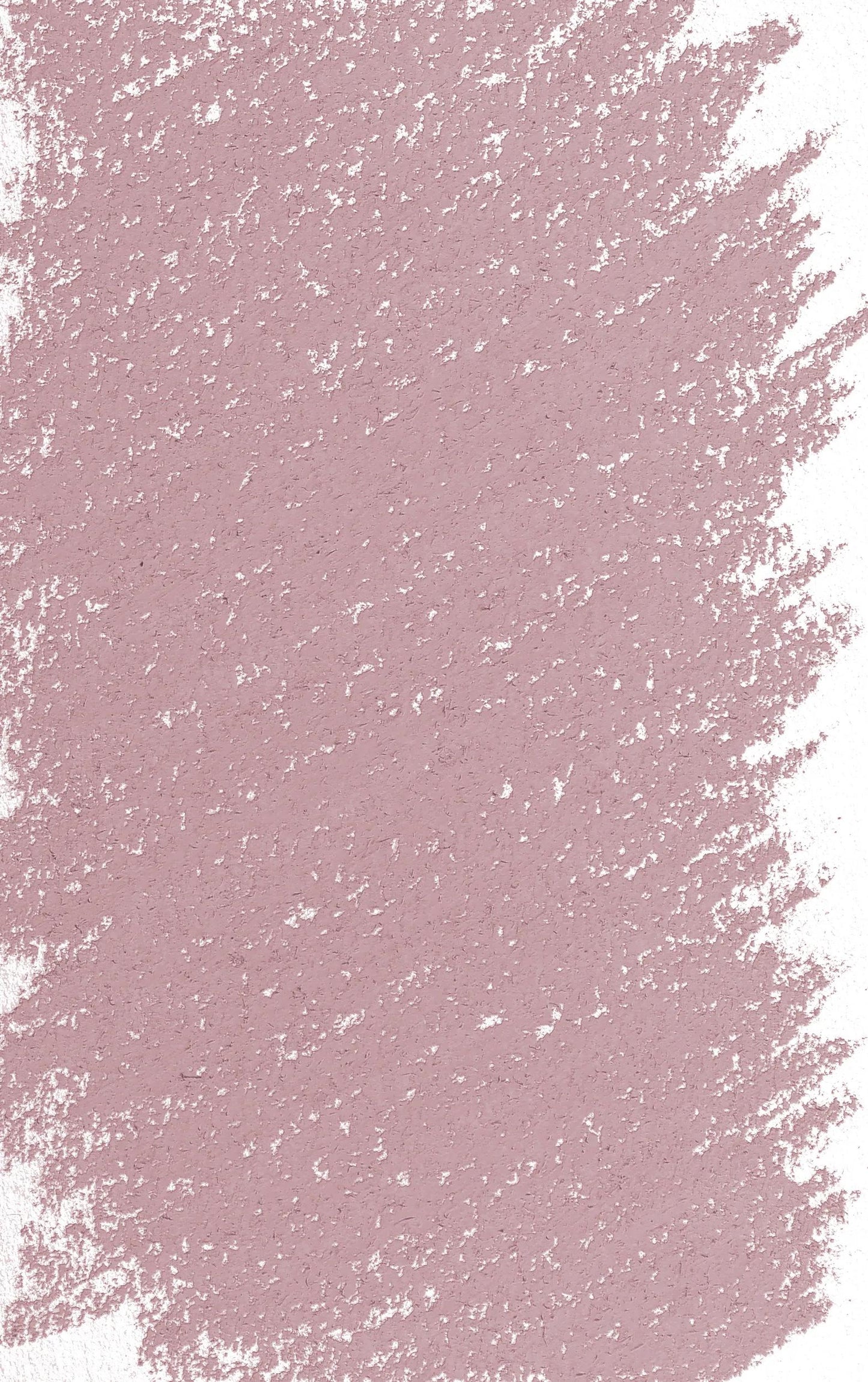 Pastel Tender - Dead Head - tinted 5 355 (Pack x3)