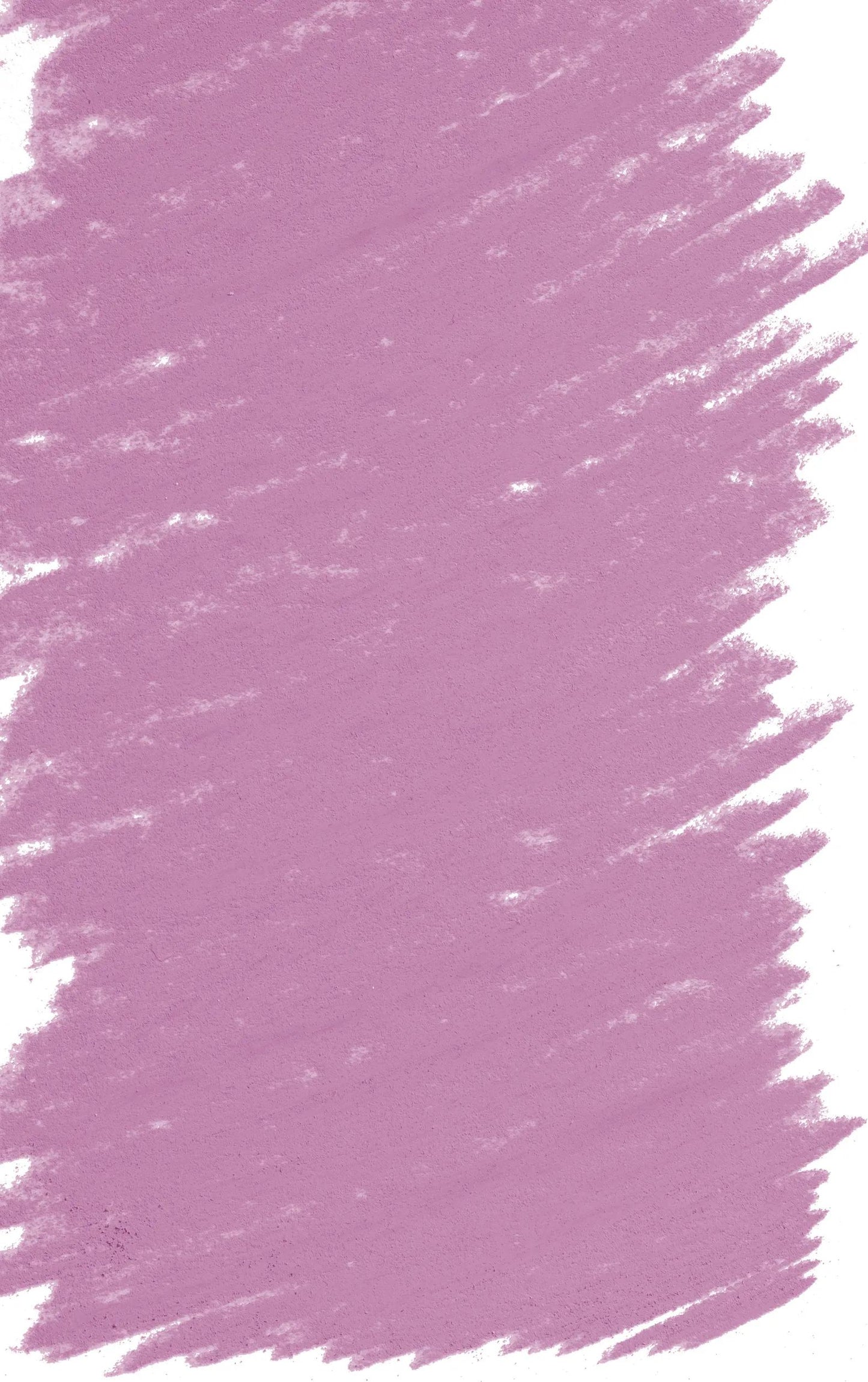 Pastel Tendre - Magenta - tinted 3 363 (Pack x3)