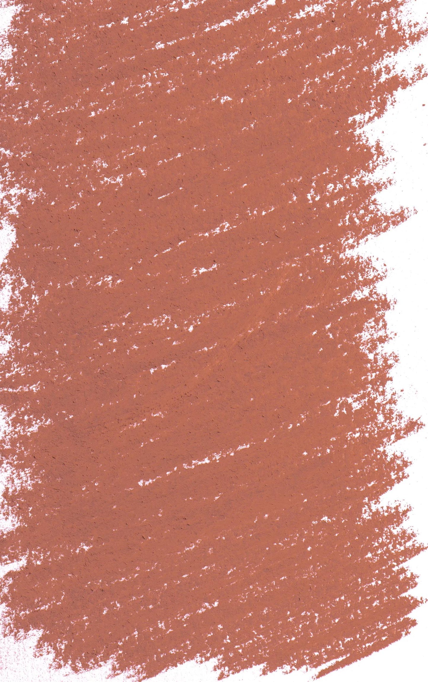 Pastel Tendre - Natural Siena - tinted 3 403 (Pack x3)