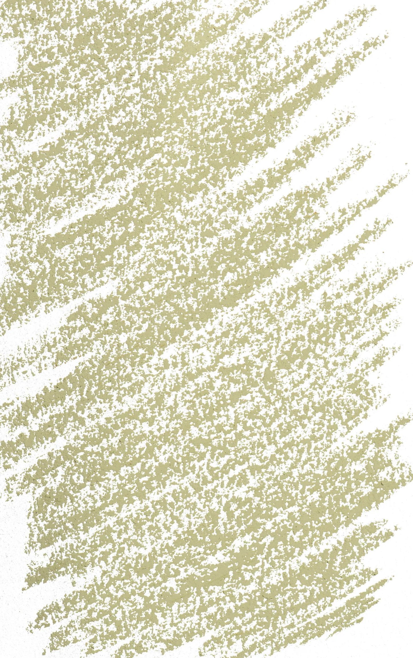 Pastel Tendre - Olive Green - dyed 5 665 (Pack x3)